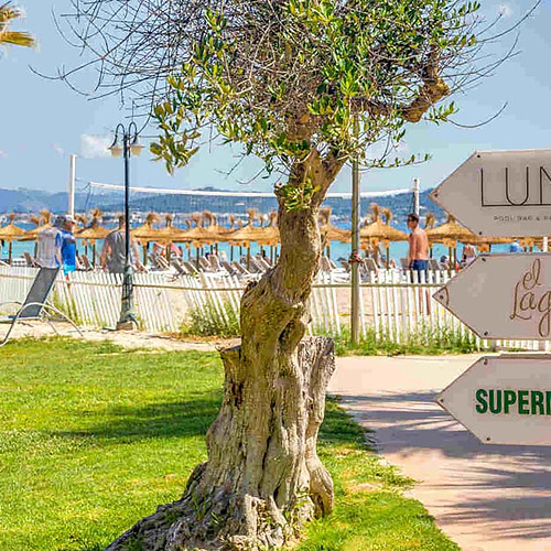 Señalización del hotel Luna, Playa Esperanza Resort, el Lago y supermercado con palmeras y playa al fondo.