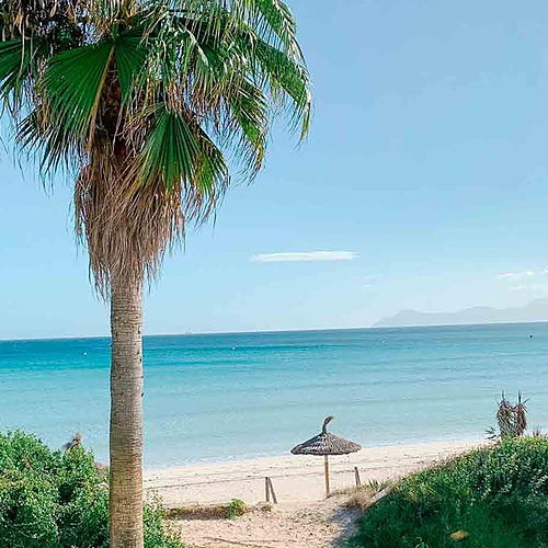Palmera y playa con sombrilla, vista al mar turquesa. Hotel Playa Esperanza Resort.