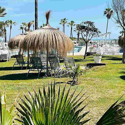 Lounge chairs and palapas under palm trees at a Playa Esperanza Resort.