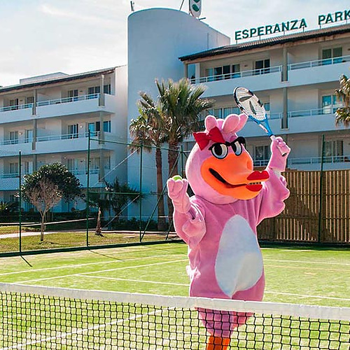 Mascota en cancha de tenis de Playa Esperanza Resort, con edificio de fondo y portería de fútbol.