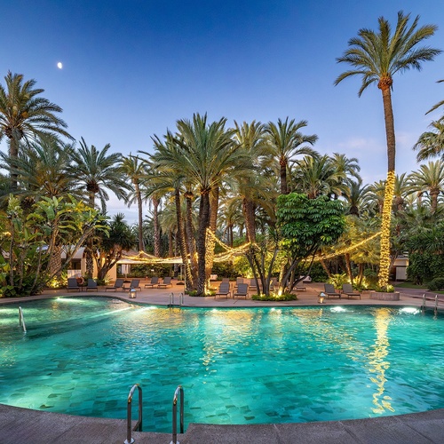 a large swimming pool is surrounded by palm trees