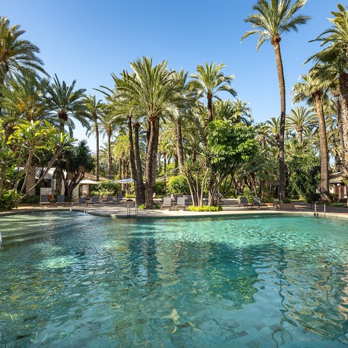 a large swimming pool surrounded by palm trees