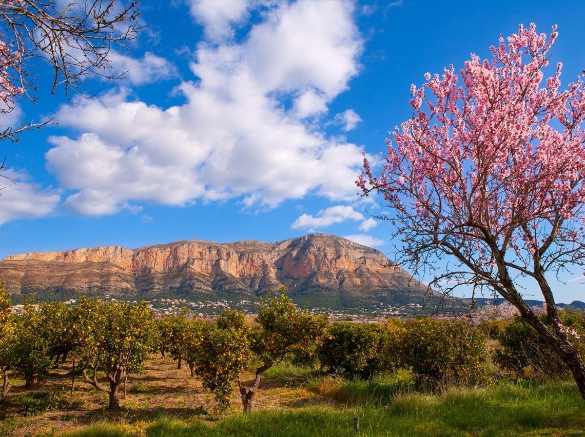 Port Hotels: Corporativa oferece vistas deslumbrantes de montanhas e pomares floridos.