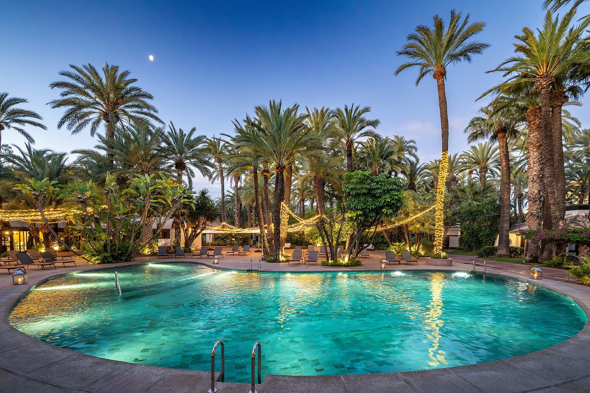 a large swimming pool is surrounded by palm trees