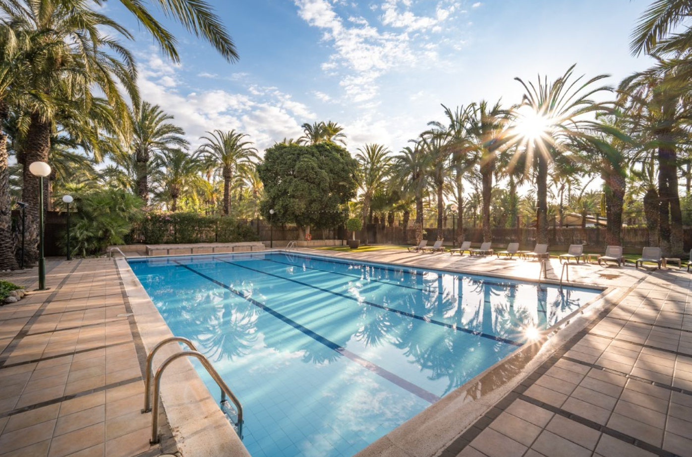 Una piscina exterior con aguas azules está rodeada de altas palmeras y tumbonas bajo un cielo soleado con algunas nubes.