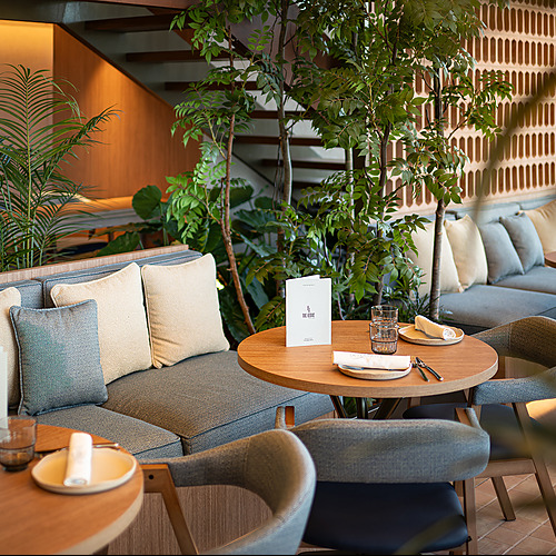 Elegante zona lounge de hotel con sofás, mesas de madera y plantas, perfecta para Port Hotels: Corporativa.