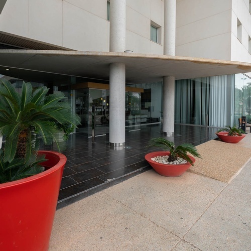 plantas en macetas rojas frente a un edificio blanco