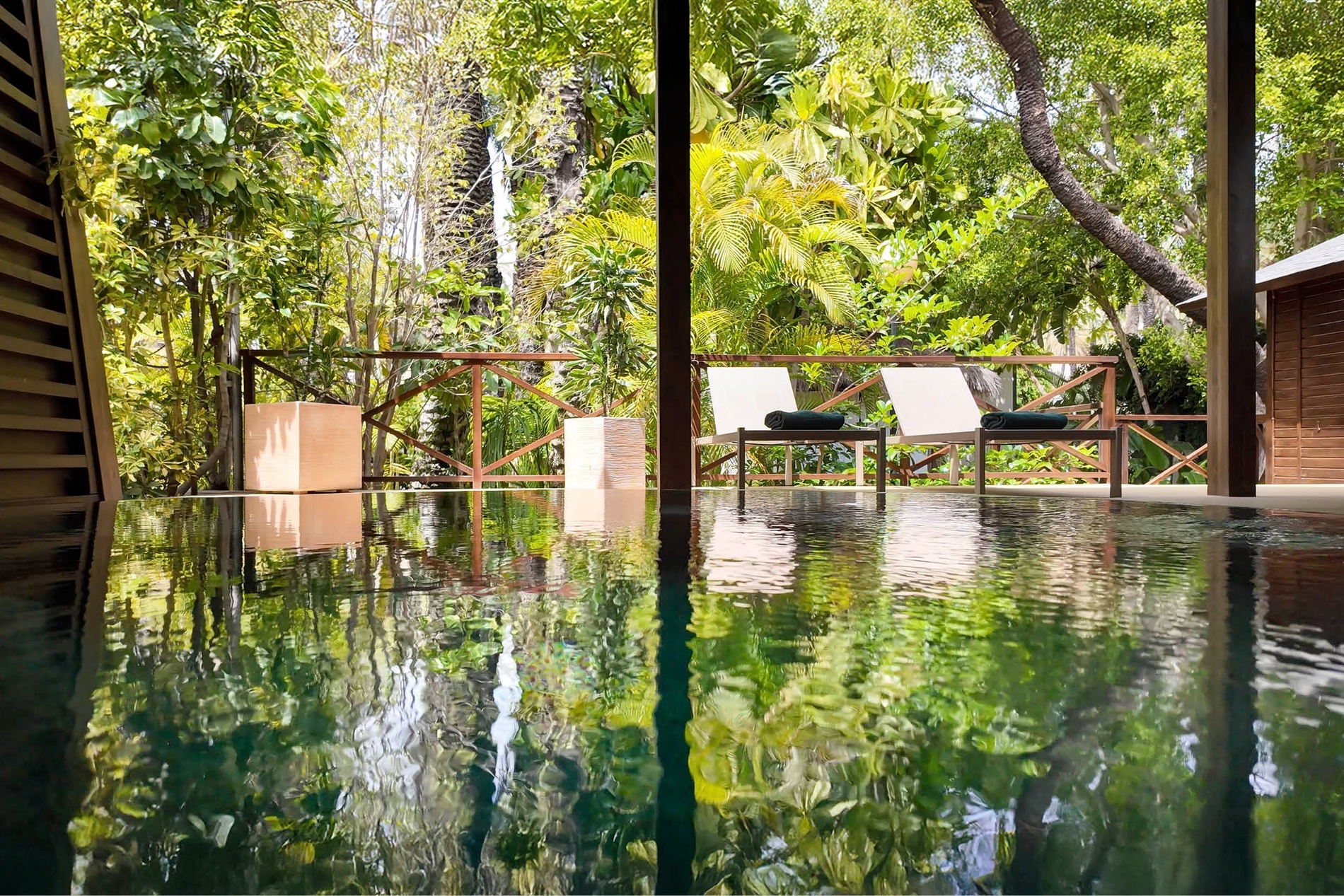 a swimming pool surrounded by trees and chairs