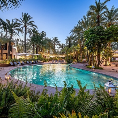 a large swimming pool surrounded by palm trees and lounge chairs