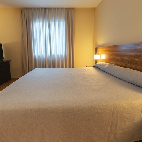 una habitación de hotel con una cama y una televisión