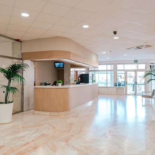 Un amplio y luminoso vestíbulo de hotel con un mostrador de recepción de madera y mármol, suelo brillante y grandes plantas.