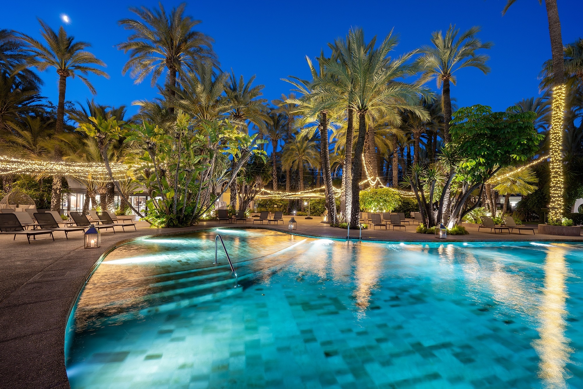 a large swimming pool surrounded by palm trees at night