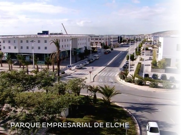 un largo pasillo rodeado de palmeras y árboles en un edificio .