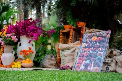 un libro sobre bazar de sabores está sentado en la hierba - 