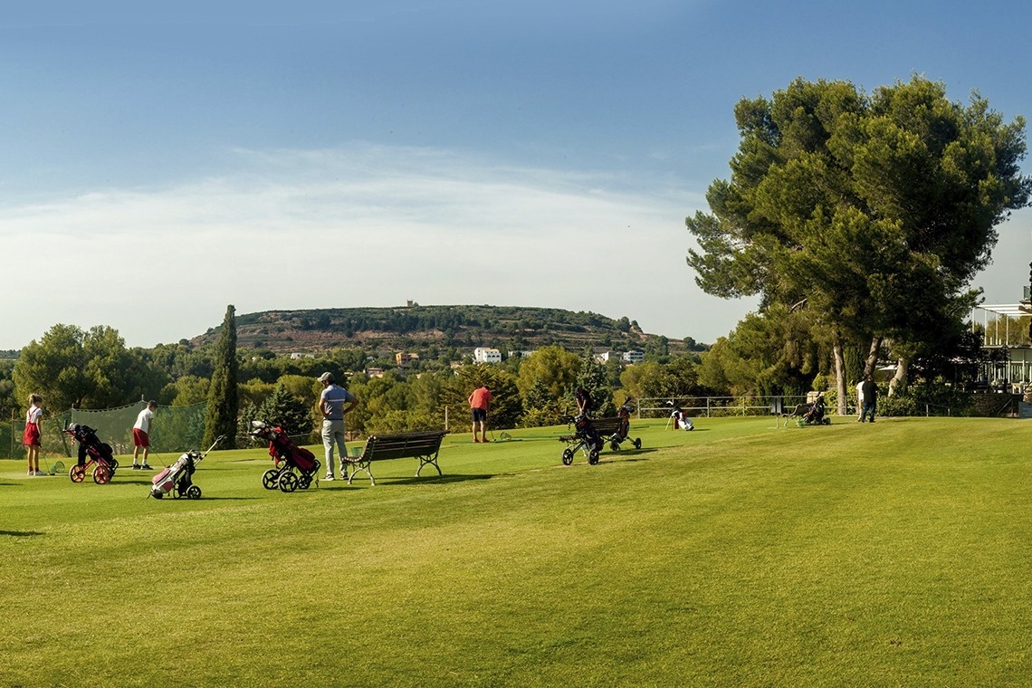 a group of people are playing golf on a lush green field