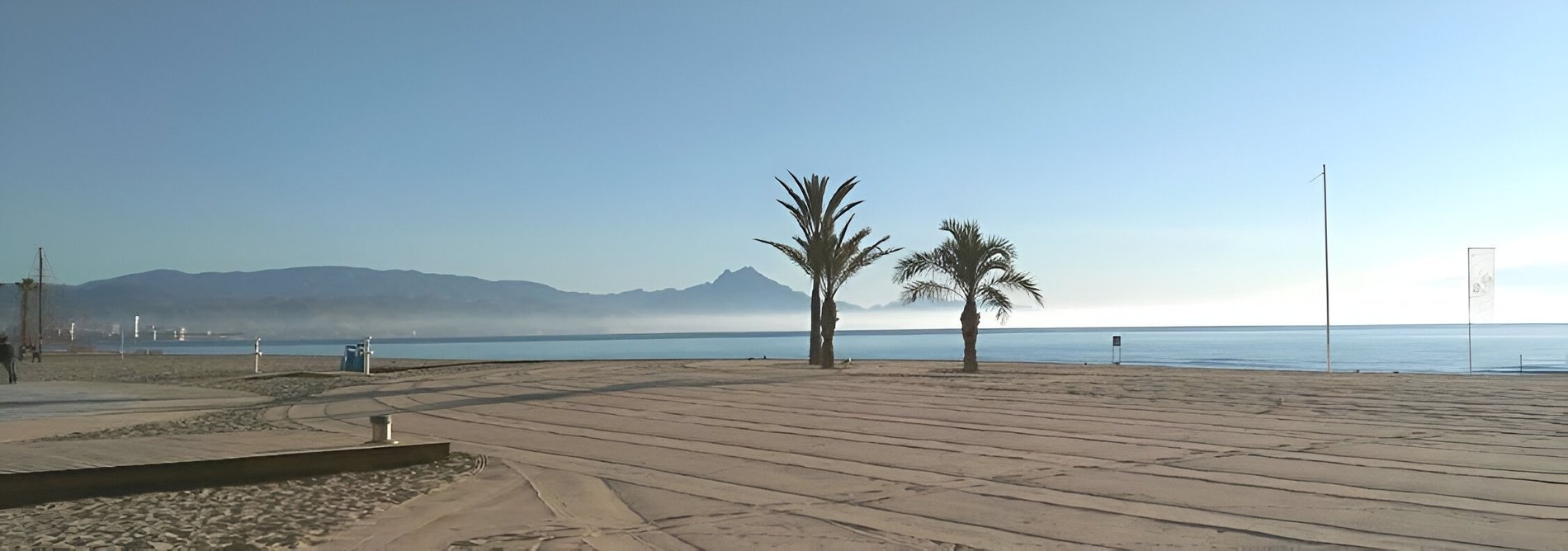 a beach with palm trees and mountains in the background