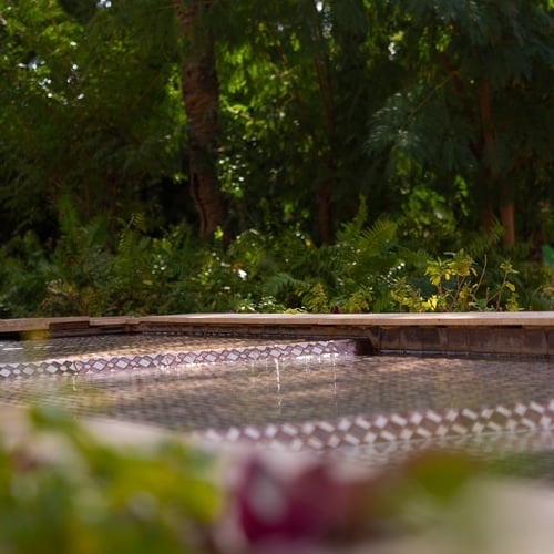 una fuente de agua en medio de un bosque con árboles en el fondo