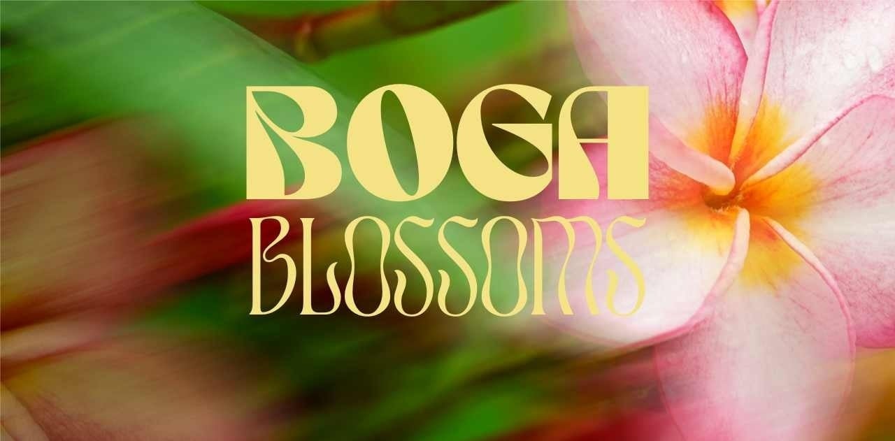 un cartel para la fiesta del primer aniversario de boga blossoms