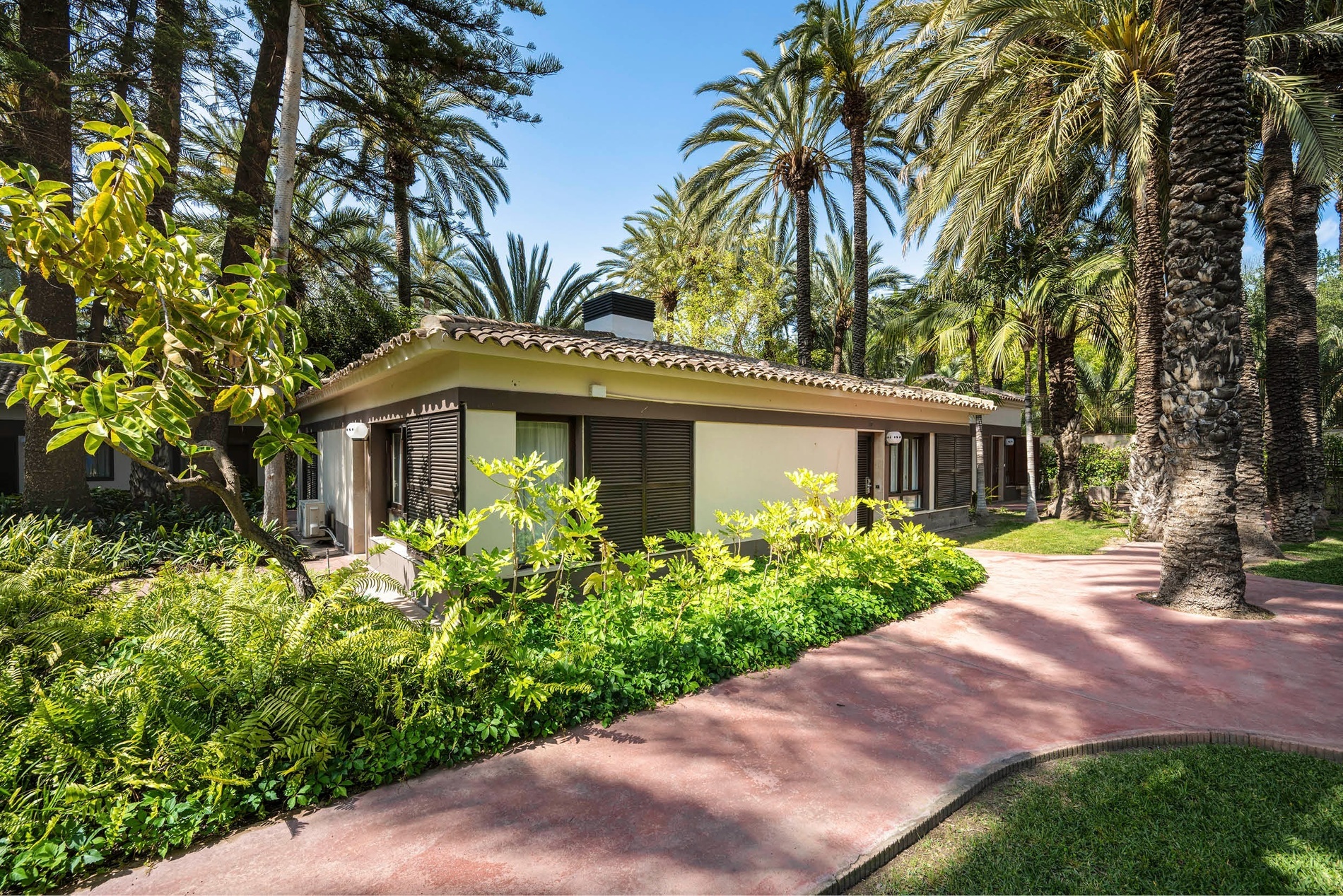 a small white house surrounded by palm trees