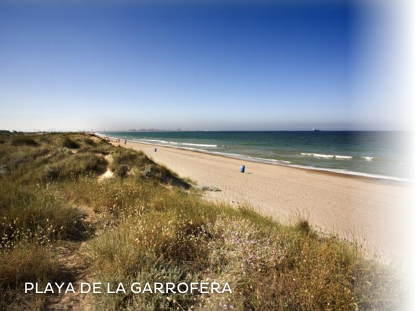 una pasarela de madera conduce a la playa al atardecer