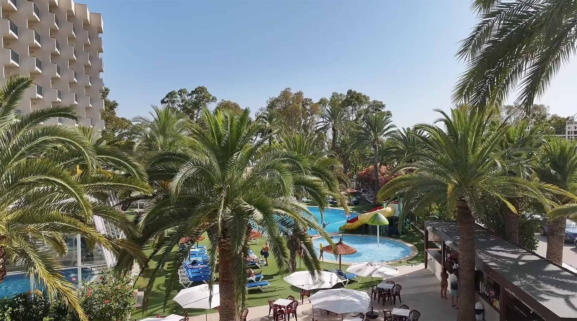 una piscina rodeada de palmeras y mesas y sillas