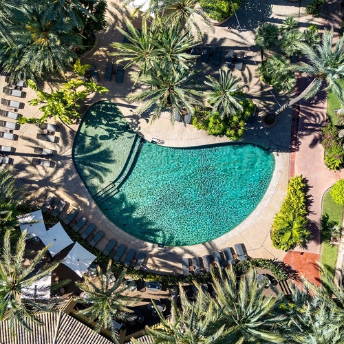 an aerial view of a large swimming pool surrounded by palm trees