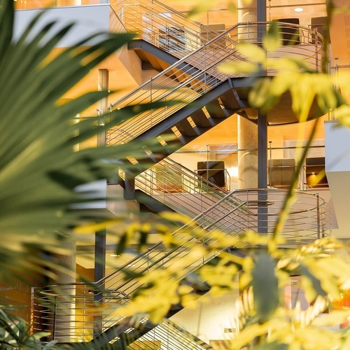 un primer plano de una escalera en un edificio