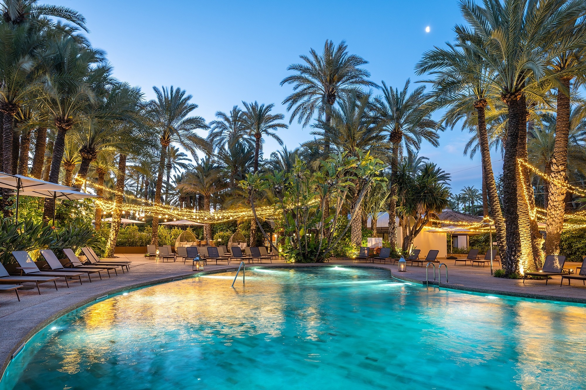 a large swimming pool surrounded by palm trees and chairs