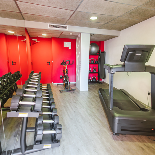 a gym with a treadmill and a row of dumbbells