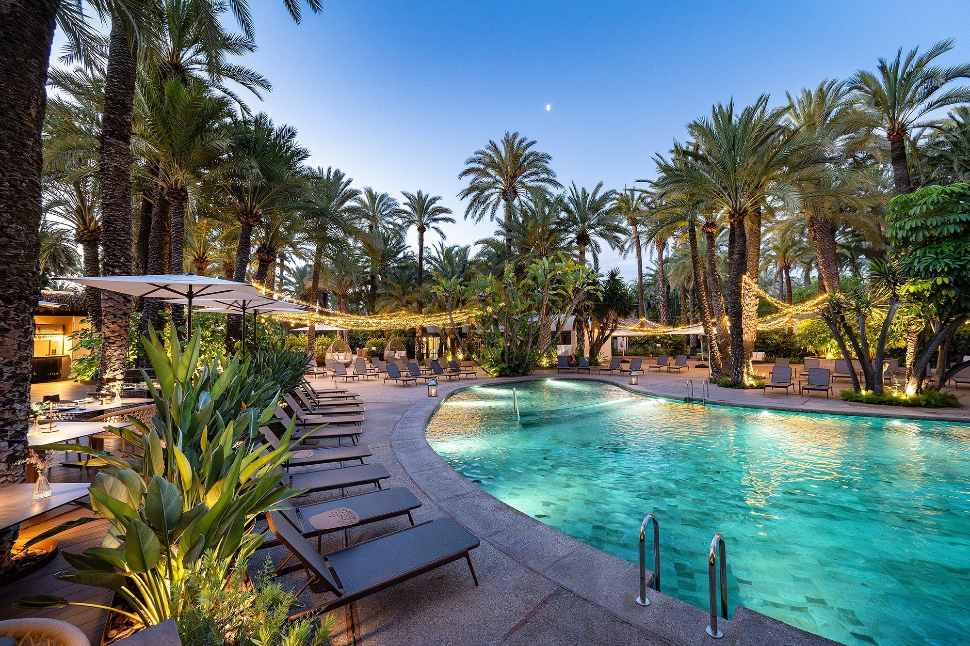 a large swimming pool surrounded by palm trees and chairs