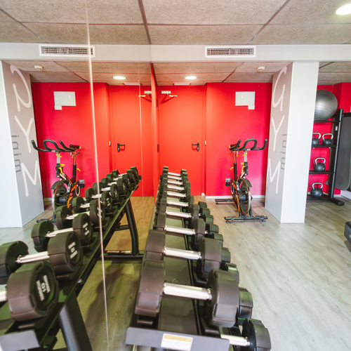 a gym with a row of dumbbells and a treadmill