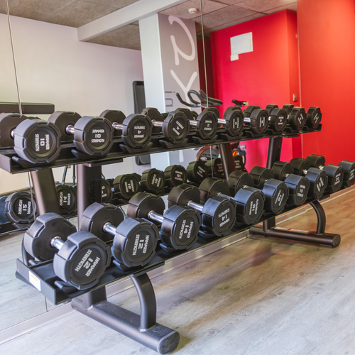a rack of dumbbells in a gym with a red door