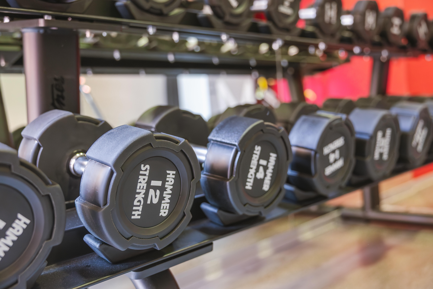 una fila de mancuernas de 12 libras en un gimnasio