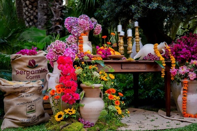una bolsa de café pergamin está rodeada de jarrones y flores - 