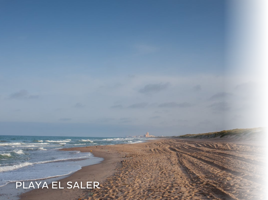 una pasarela de madera conduce a la playa al atardecer