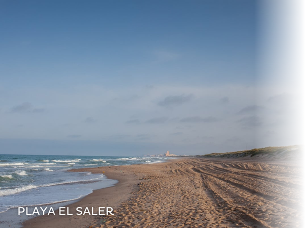 una pasarela de madera conduce a la playa al atardecer