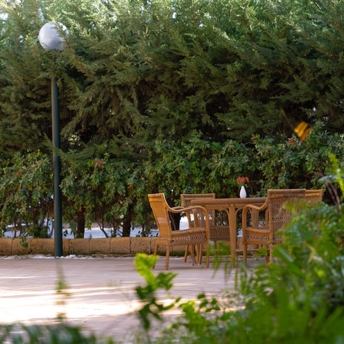 una mesa y sillas en un patio rodeado de árboles