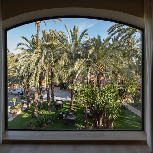 una vista de palmeras a través de una ventana arqueada