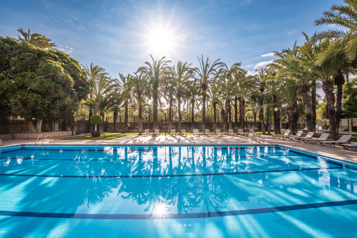 Piscina exterior rodeada de palmeras bajo un sol radiante, con tumbonas al borde y reflejos en el agua.