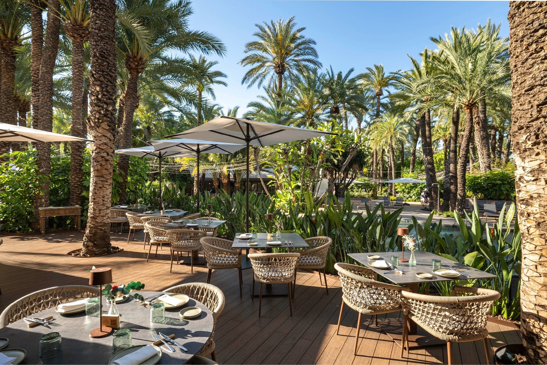 a restaurant with tables and chairs surrounded by palm trees