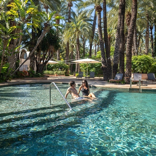 a man and a woman are in a swimming pool surrounded by palm trees