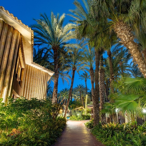 a palm tree lined path between two buildings at night