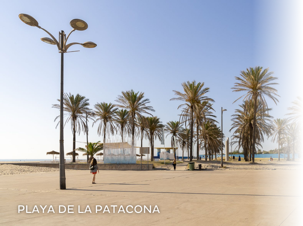 una pasarela de madera conduce a la playa al atardecer