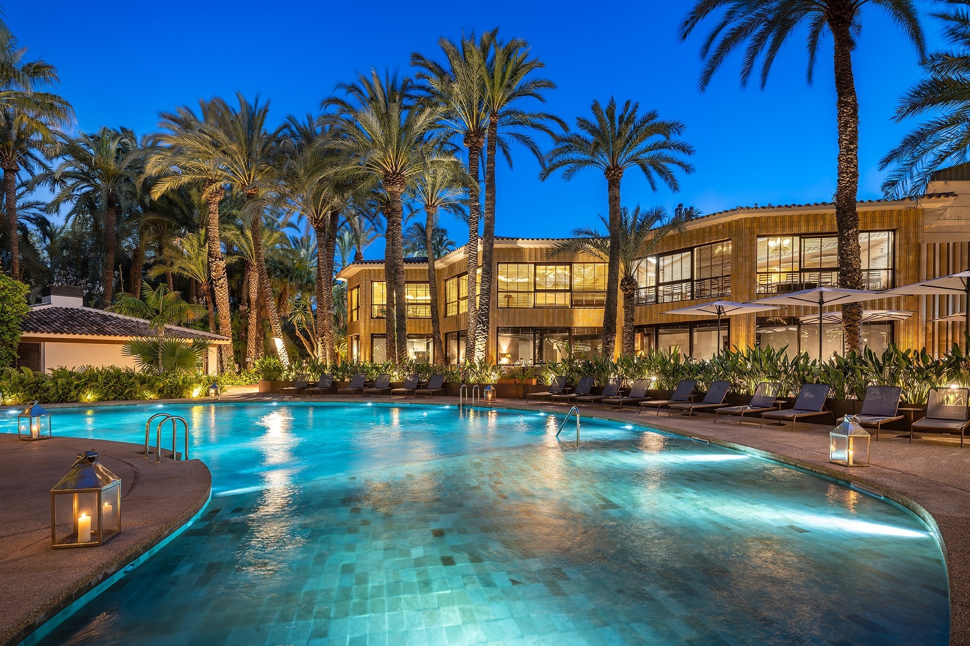 a large swimming pool surrounded by palm trees and chairs