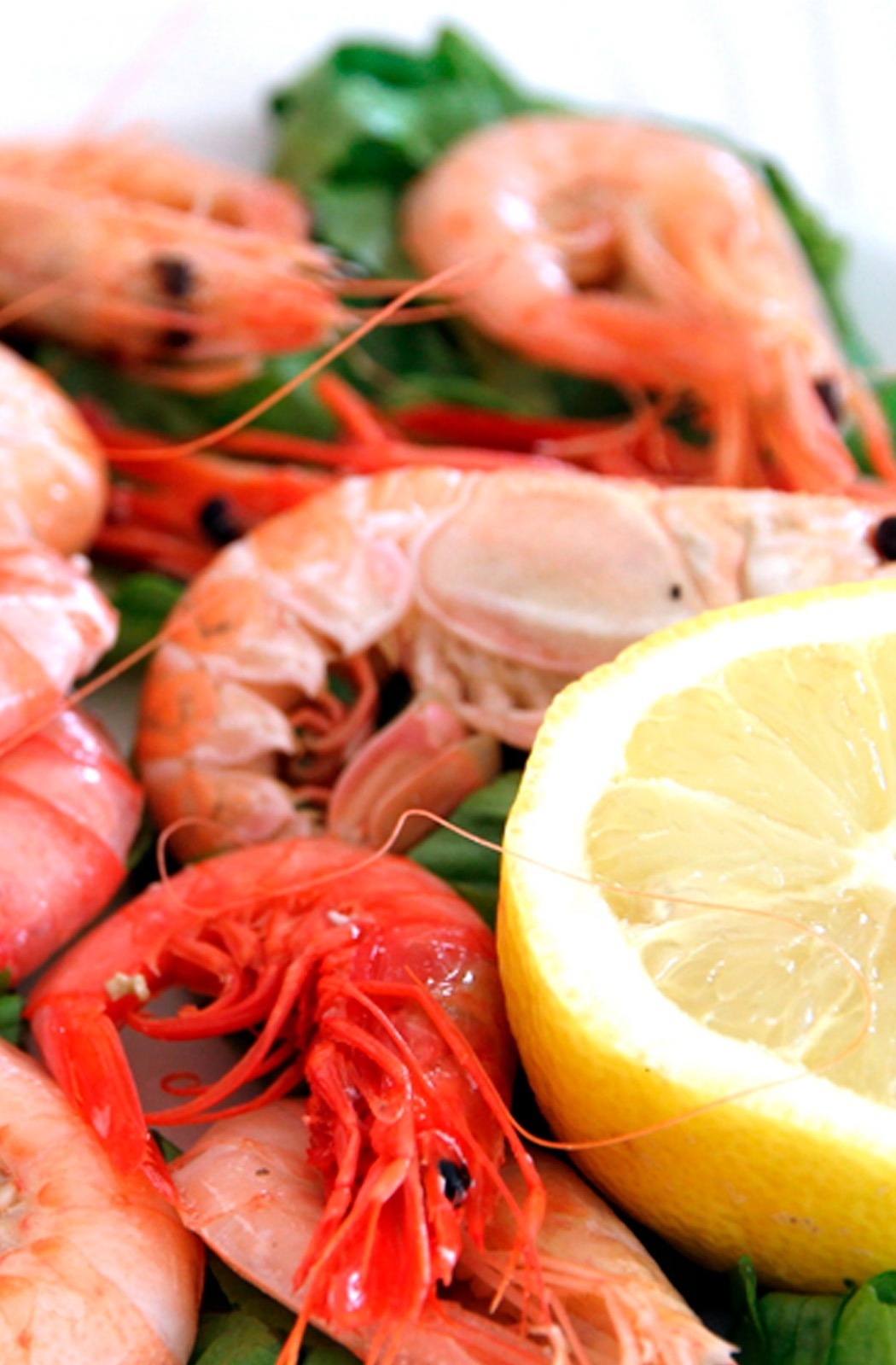 Deliciosas gambas cocidas con limón y lechuga, un plato fresco del restaurante del hotel.