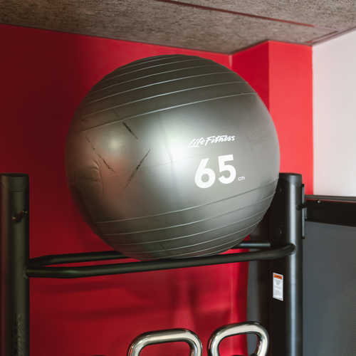 a life fitness 65 pound exercise ball is sitting on a rack