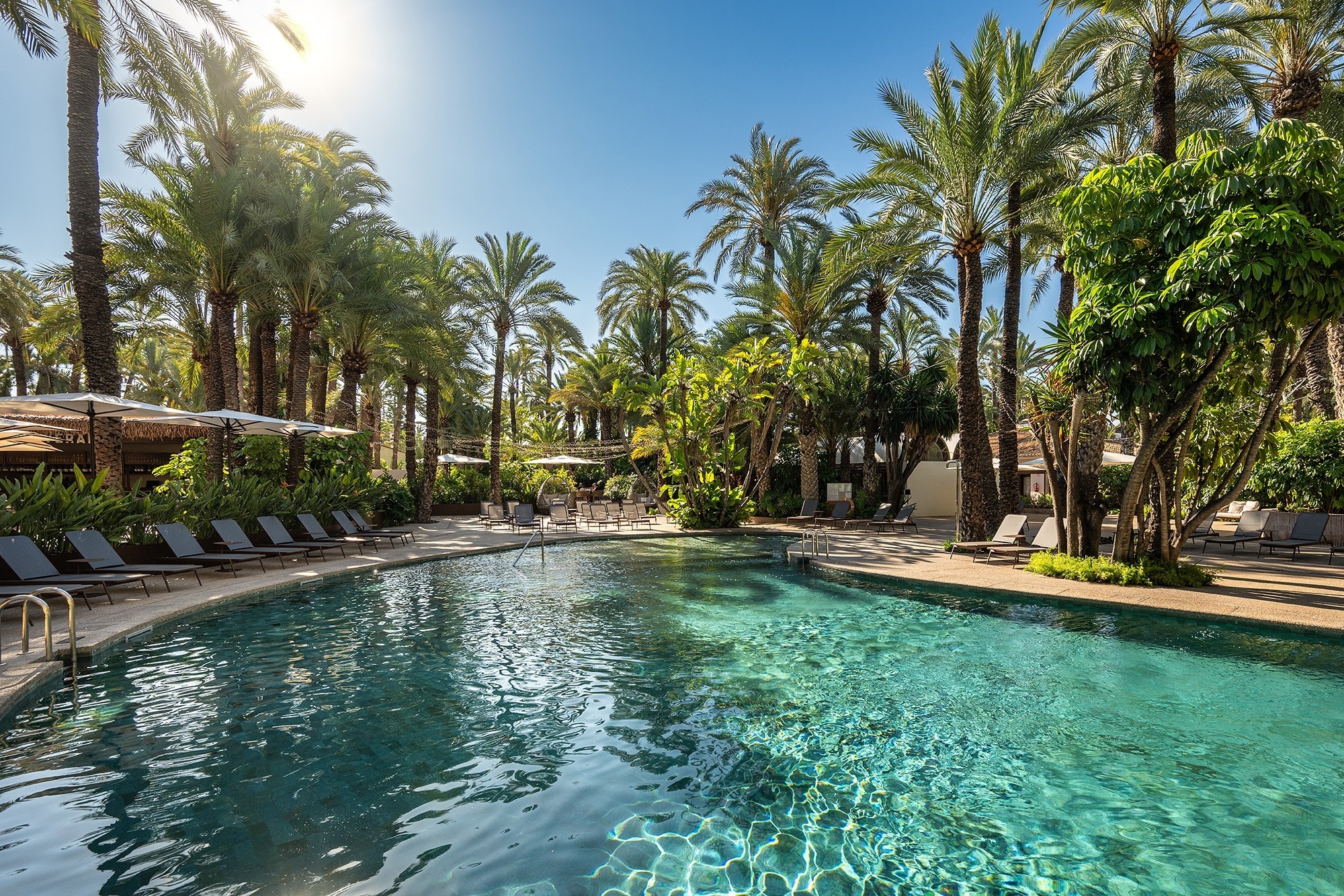 a large swimming pool surrounded by palm trees and chairs