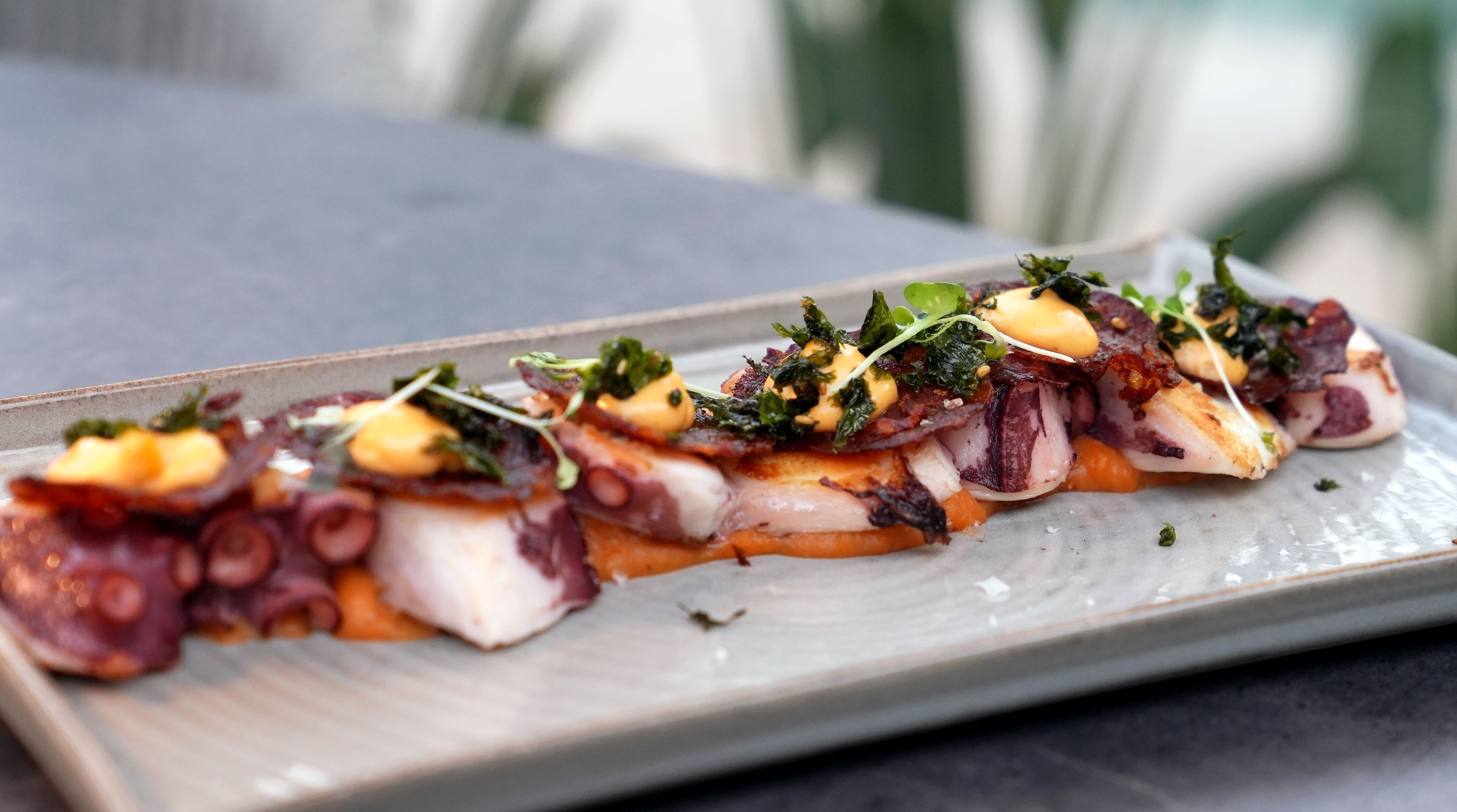 a close up of a plate of food on a table