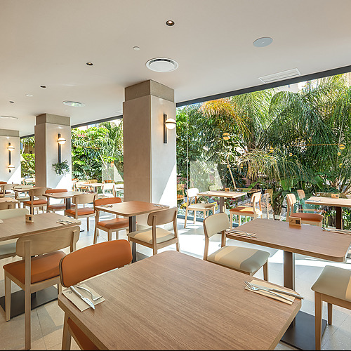 Salón luminoso de restaurante con mesas y sillas de madera, vistas a jardín tropical. Port Hotels: Corporativa