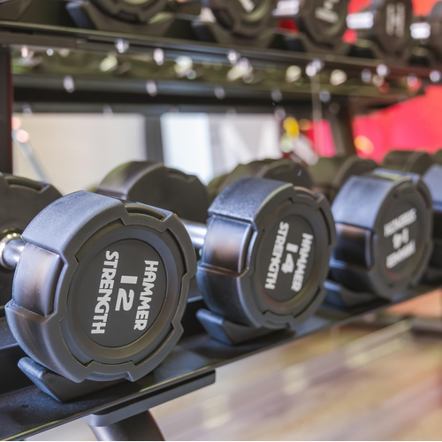 a row of hammer strength dumbbells in a gym
